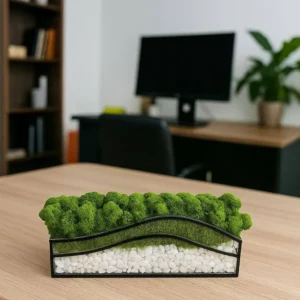 Mos in glas met witte stenen – Kleurenoase