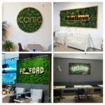 Moswand met logo | Bereken Moslogo Prijs op Maat | Ekomoss