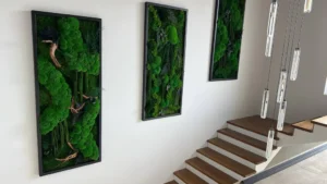 Set van 3 mosafbeeldingen: Bolmos Junglewaterval