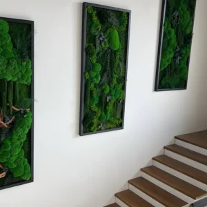 Set van 3 mosafbeeldingen: Bolmos Junglewaterval