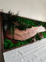 Mos schilderij met hout – Walnoot boslandschap