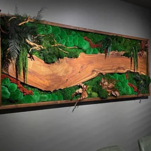 Mos schilderij met hout – Walnoot boslandschap