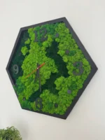 Hexagon Moswandklok – Natuurmix