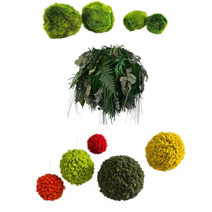 category product - Mosballen