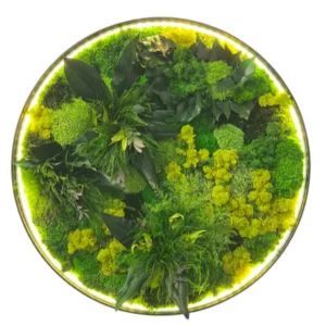 Rond LED-schilderij "Jungle-Aura"