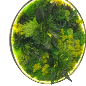 Rond LED-schilderij "Jungle-Aura"