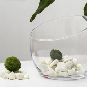 category product - Marimo Mosballen (Cladophora)