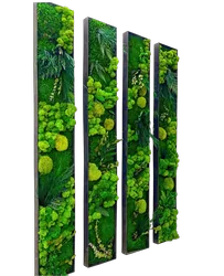 product category - Mosschilderij Sets