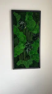 Mosschilderij "Bolmos Jungle-Kaskade" – Planten-editie