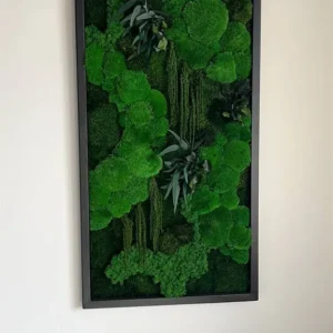 Mosschilderij "Bolmos Jungle-Kaskade" – Planten-editie