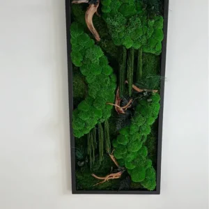 Mosschilderij "Bolmos Jungle-Kaskade" – Drijfhout-editie