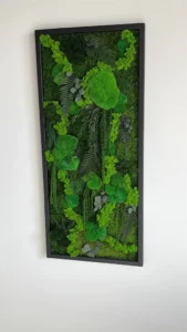 Mos schilderij "Jungle-Kaskade" – Planten-editie