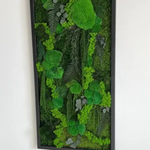 Mos schilderij "Jungle-Kaskade" – Planten-editie