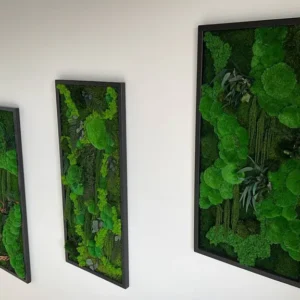 Mos schilderij "Bolmos Jungle-Kaskade" – Planten-editie