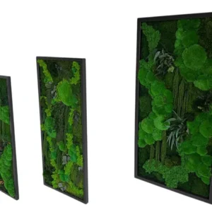 Mos schilderij "Jungle-Kaskade" – Planten-editie