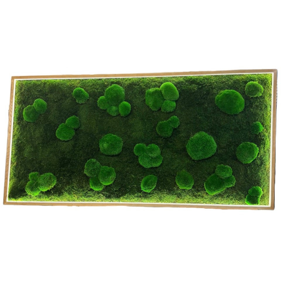 LED mos schilderij – mix van bolmos & platmos LED mosschilderij – mix van bolmos & platmos