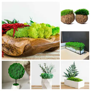 category products - Tafeldecoraties